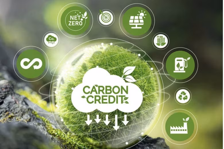 Chính thức khai trương Sàn giao dịch carbon trong nước