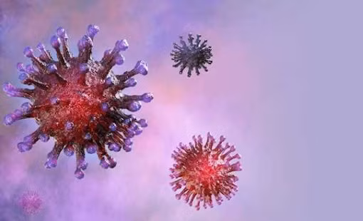 Virus SARS-CoV-2. Ảnh: Internet