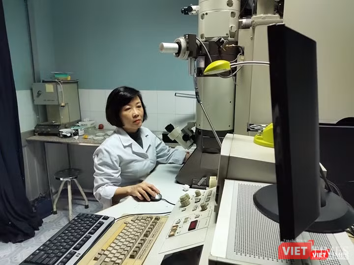 Nghiên cứu virus Corona trong phòng thí nghiệm của Viện Vệ sinh Dịch tễ Trung ương. Ảnh: Minh Thúy Nghiên cứu virus Corona trong phòng thí nghiệm của Viện Vệ sinh Dịch tễ Trung ương. Ảnh: Minh Thúy