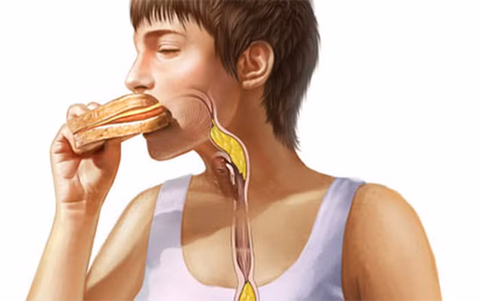 Ngũ cốc giúp làm dịu, chống viêm ruột Ngũ cốc giúp làm dịu, chống viêm ruột