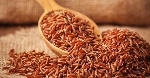 Gạo lứt chứa nhiều vi chất dinh dưỡng Gạo lứt chứa nhiều vi chất dinh dưỡng