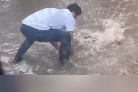 Video bắt được cá to giữa phố Hà Nội "viral", người ghi hình nói gì? 