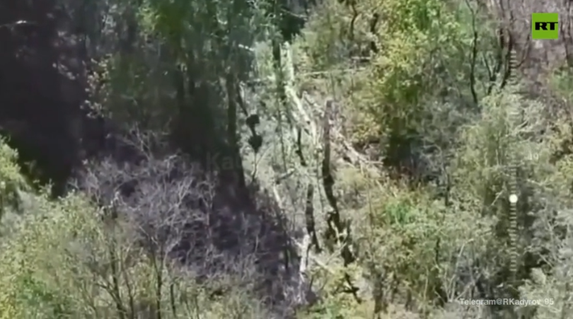 Ảnh cắt từ clip.