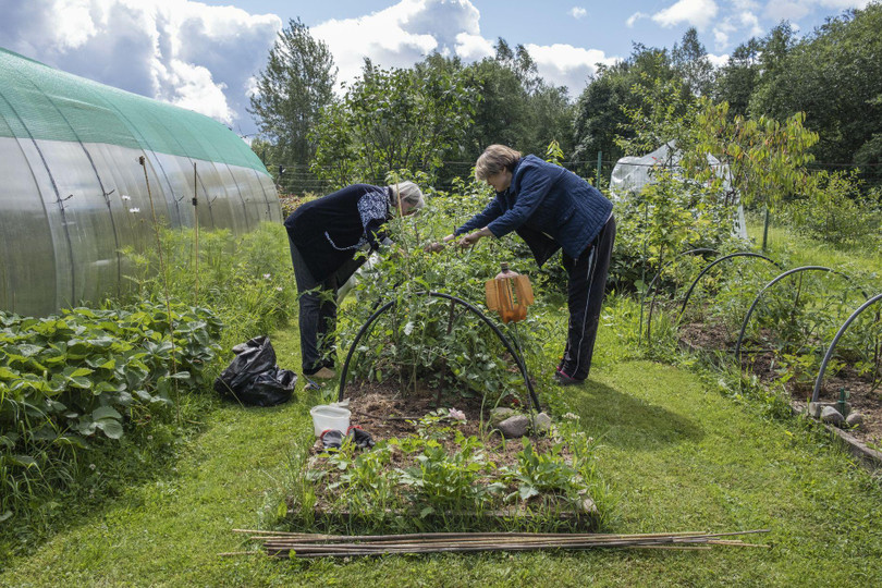 Abramova cùng mẹ làm vườn (Ảnh: WSJ) Abramova cùng mẹ làm vườn (Ảnh: WSJ)