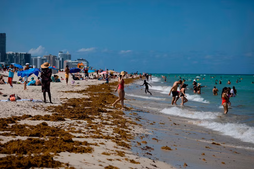 Số ca nhiễm mới COVID-19 đang tăng mạnh ở những bang miền Nam nước Mỹ (Ảnh: CBS)