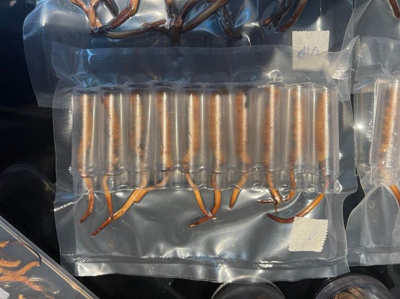 Lô hàng bị thu giữ. Ảnh: Tổng cục QLTT