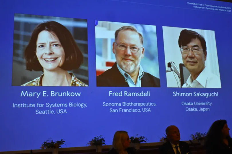 Chân dung của các nhà khoa học Mary E Brunkow, Fred Ramsdell và Shimon Sakaguchi được trưng bày trong buổi họp báo công bố Giải Nobel Y học năm 2025. Ảnh: AFP.