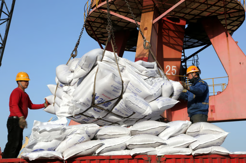 Tuyến đường sắt 1.000 km xuyên rừng giúp Trung Quốc nắm giữ mạch sống nông nghiệp thế giới 2.png