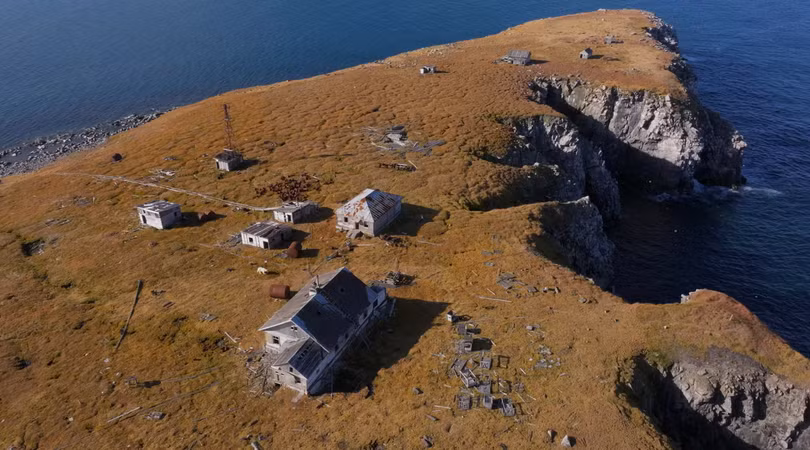 Gau bac cuc chiem can cu quan su thoi lien xo 5.png