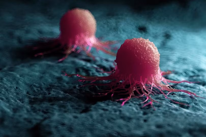 Các nhà nghiên cứu đã xác định được hai enzyme protein đóng vai trò quan trọng trong việc giúp tế bào ung thư tuyến tiền liệt phát triển và kháng lại liệu pháp điều trị. Ảnh: Shutterstock