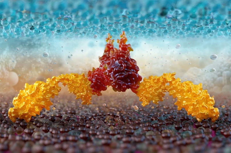 Hình ảnh 3D về liệu pháp CAR-T, cho thấy sự tương tác phân tử giữa tế bào T hoặc tế bào NK và tế bào khối u. Ảnh: Shutterstock.