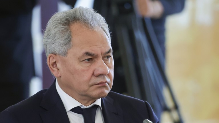 Thư ký Hội đồng An ninh Nga Sergey Shoigu. Ảnh: Sputnik.