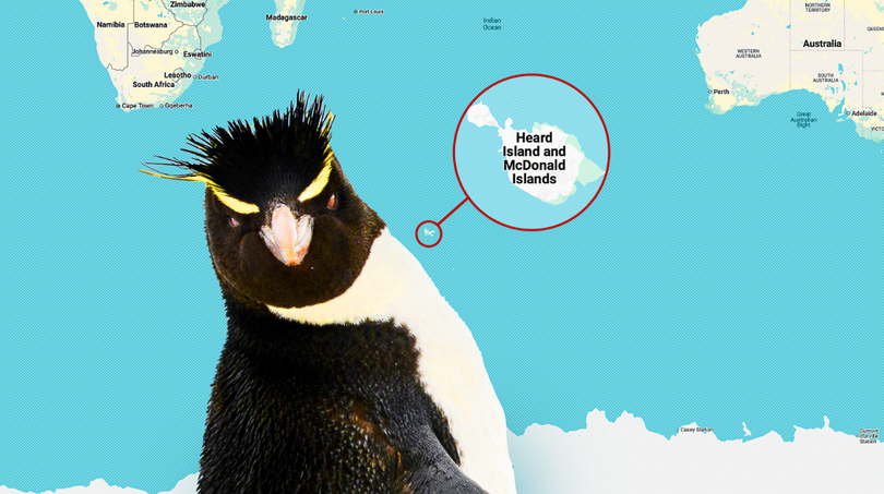 Hai quần đảo không người ở nằm trong danh sách các thực thể bị áp thuế của Tổng thống Mỹ Donald Trump. Ảnh: Daily Beast.