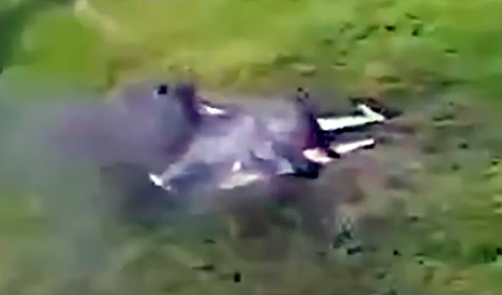 F-16 của Ukraine bắn hạ Su-35 Super Flanker của Nga gần Kursk Sự thực hay tin đồn 2.png