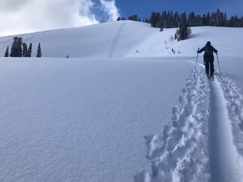 Ảnh: Business Insider