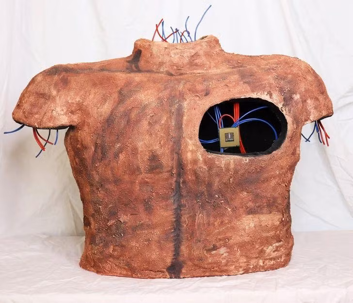 Ảnh: BrightSide Ảnh: BrightSide