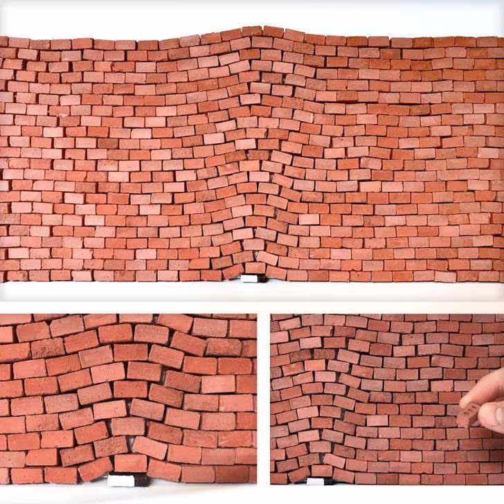 Ảnh: BrightSide Ảnh: BrightSide