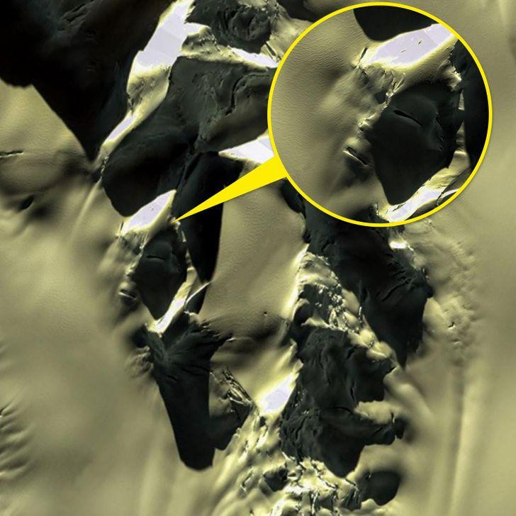 Ảnh: BrightSide Ảnh: BrightSide