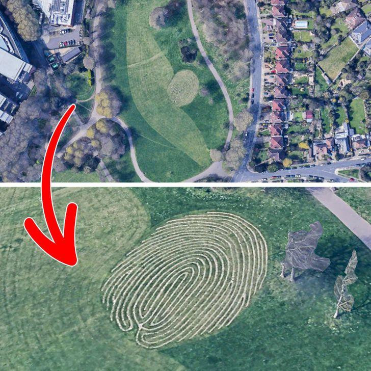 Ảnh: BrightSide Ảnh: BrightSide