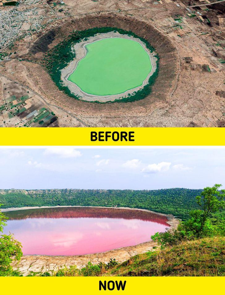 Ảnh: BrightSide Ảnh: BrightSide