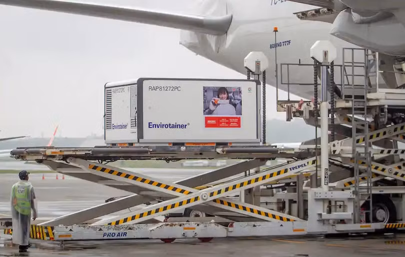 Thùng lạnh chứa vaccine COVID-19 của Sinovac tại sân bay Sao Paulo, Brazil ngày 19/11 (Ảnh: Bloomberg News)