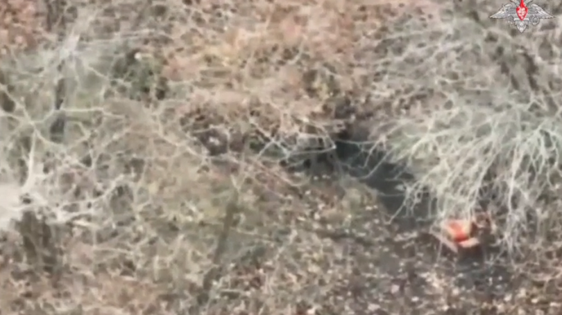 Ảnh cắt từ clip.