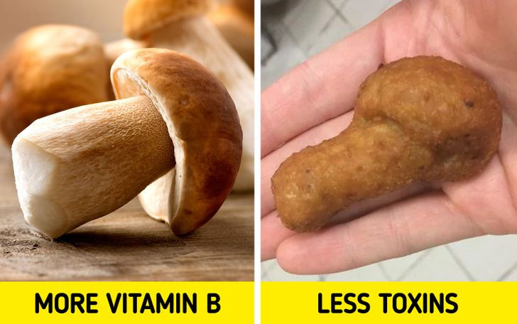 Ảnh: BrightSide Ảnh: BrightSide