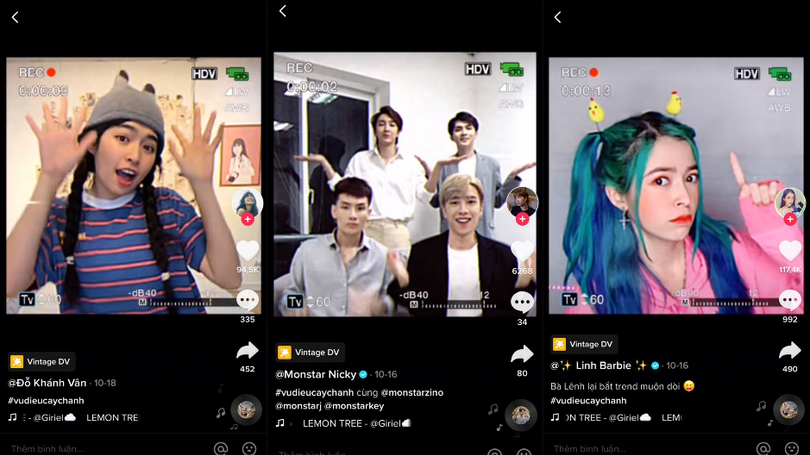 Giai điệu của ca khúc cổ điển Lemon Tree quay trở lại thành xu hướng "gây sốt" thời gian qua.