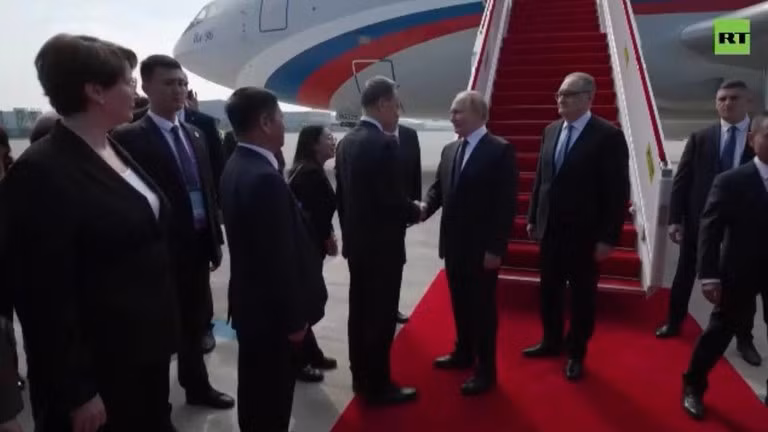 Ảnh cắt từ clip.