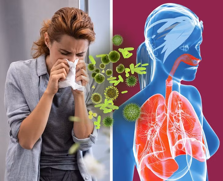 Ảnh: BrightSide Ảnh: BrightSide