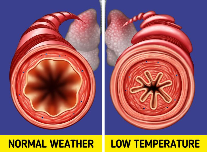 Ảnh: BrightSide Ảnh: BrightSide