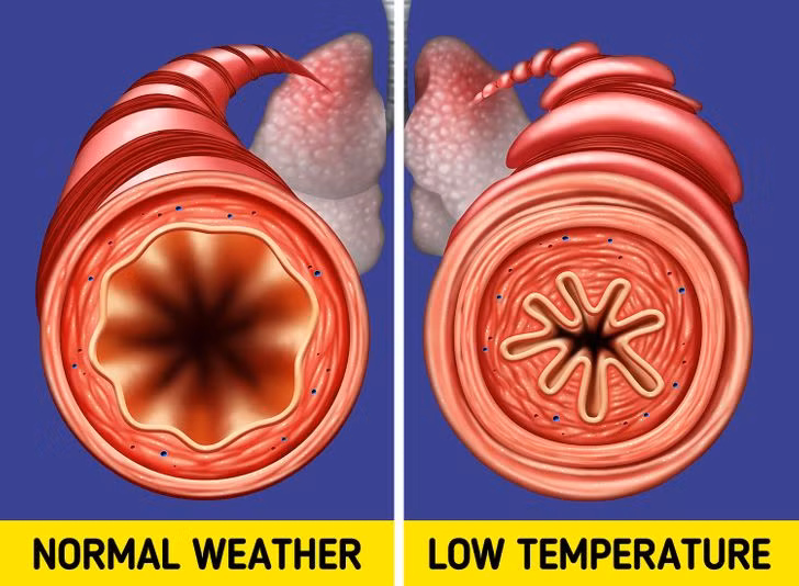 Ảnh: BrightSide Ảnh: BrightSide