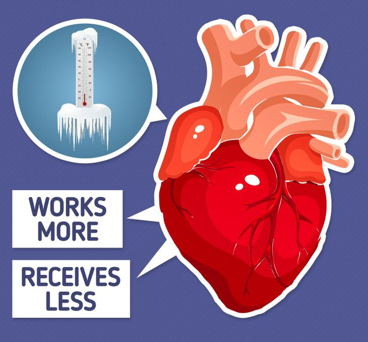 Ảnh: BrightSide Ảnh: BrightSide