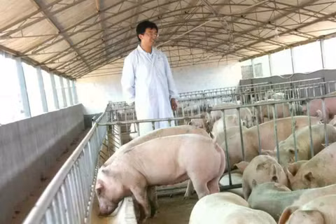 Vào năm 2023, một cặp vợ chồng người Trung Quốc, nổi tiếng với khối tài sản vượt quá 100 triệu nhân dân tệ, đã bị bắt giữ với cáo buộc gian lận nhưng được thả do thiếu bằng chứng. Ảnh: Weibo.