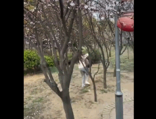 Các nhân viên chống dịch đuổi theo, khống chế (Ảnh: Guancha).