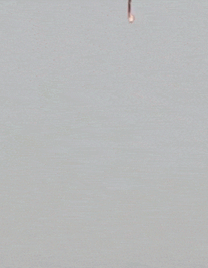 UAV của Azerbaijan bị Armenia bắn hạ (Ảnh; Sohu).