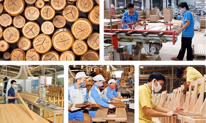 "Việt Nam đứng thứ 5 thế giới về xuất khẩu gỗ và sản phẩm gỗ nhưng là “một liên kết yếu và không chủ động về phôi liệu”, ông Trần Thiên, Giám đốc Công ty Thanh Hòa. "Việt Nam đứng thứ 5 thế giới về xuất khẩu gỗ và sản phẩm gỗ nhưng là “một liên kết yếu và không chủ động về phôi liệu”, ông Trần Thiên, Giám đốc Công ty Thanh Hòa.