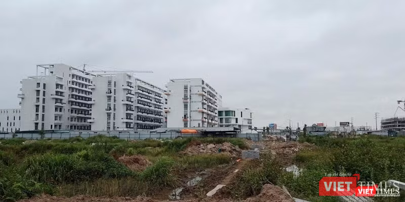 Khu đất bên cạnh tòa nhà BV Hữu nghị Việt Đức cũng nằm trong dự án hiện ngổn ngang, cỏ dại mọc um tùm. Khu đất bên cạnh tòa nhà BV Hữu nghị Việt Đức cũng nằm trong dự án hiện ngổn ngang, cỏ dại mọc um tùm.