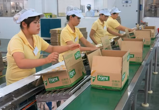 Cần hiểu rằng: được làm việc, có việc để làm đủ trong giờ, được thể hiện năng lực trong công việc để thu nhận được những giá trị vật chất, tinh thần hợp lý và xứng đáng, là một nhu cầu, là một nguyện vọng chính đáng không chỉ riêng với người lao động mà còn là điều rất hạnh phúc với giới chủ nữa.