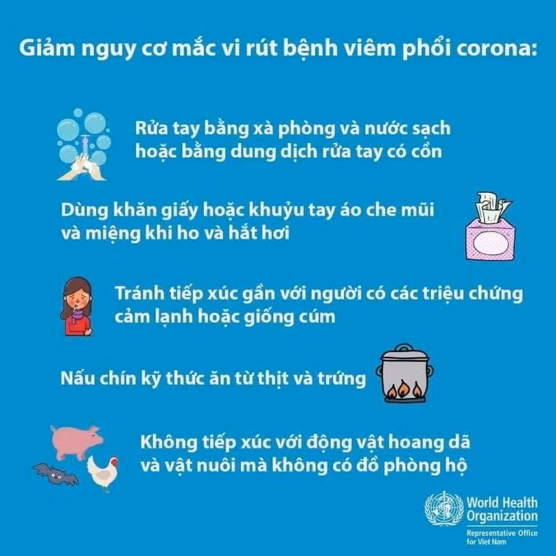 Khuyến cáo của WHO về phòng lây nhiễm virus Corona mới gây viêm phổi cấp Vũ Hán. Ảnh: WHO. Khuyến cáo của WHO về phòng lây nhiễm virus Corona mới gây viêm phổi cấp Vũ Hán. Ảnh: WHO.