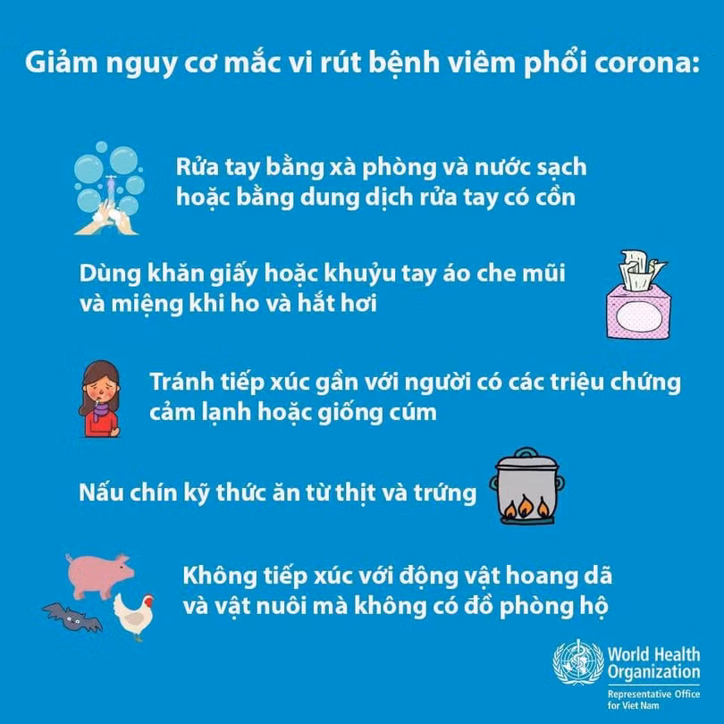 5 khuyến cáo của Tổ chức Y tế thế giới - WHO - dành cho người dân về việc chủ động phòng, chống bệnh viêm phổi lạ (Ảnh: WHO Việt Nam) 5 khuyến cáo của Tổ chức Y tế thế giới - WHO - dành cho người dân về việc chủ động phòng, chống bệnh viêm phổi lạ (Ảnh: WHO Việt Nam)