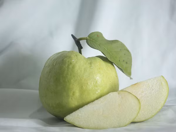 Những quả ổi tươi ngon còn mang đến nhiều lợi ích cho làn da và mái tóc. Ảnh: Boldsky Những quả ổi tươi ngon còn mang đến nhiều lợi ích cho làn da và mái tóc. Ảnh: Boldsky