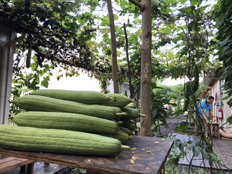 Các chiến sĩ Việt Nam phối hợp thực hiện nhiệm vụ với tăng gia sản xuất, cải thiện bữa ăn hàng ngày và chiêu đãi bạn bè quốc tế. Ảnh: Trung tá Bùi Đức Thành