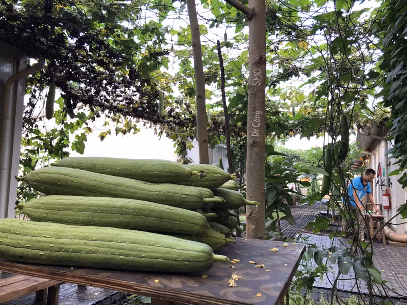 Các chiến sĩ Việt Nam phối hợp thực hiện nhiệm vụ với tăng gia sản xuất, cải thiện bữa ăn hàng ngày và chiêu đãi bạn bè quốc tế. Ảnh: Trung tá Bùi Đức Thành Các chiến sĩ Việt Nam phối hợp thực hiện nhiệm vụ với tăng gia sản xuất, cải thiện bữa ăn hàng ngày và chiêu đãi bạn bè quốc tế. Ảnh: Trung tá Bùi Đức Thành