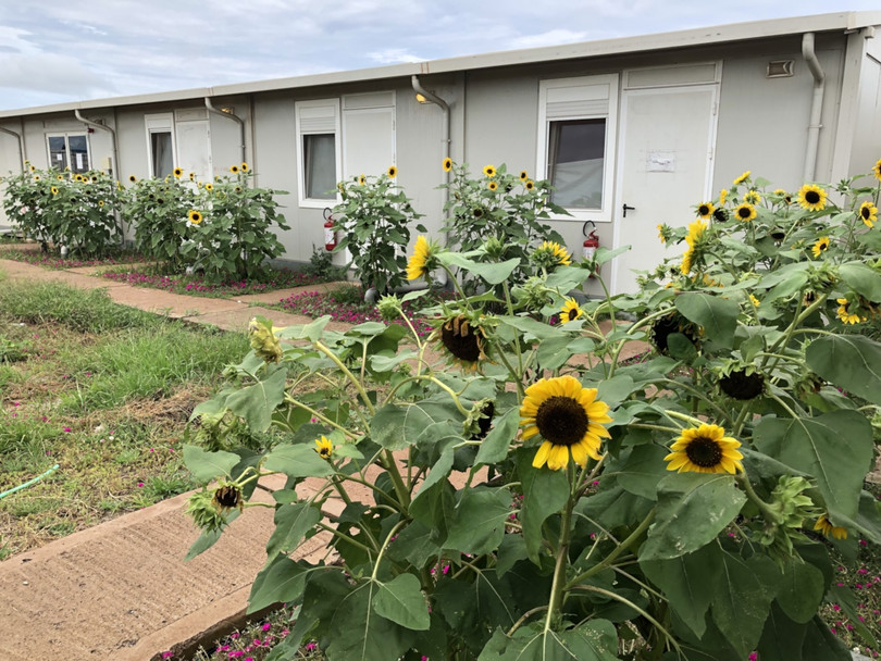 Những luống hoa tươi góp phần làm dịu mát vùng đất khô cằn ở Nam Sudan. Ảnh: Trung tá Bùi Đức Thành