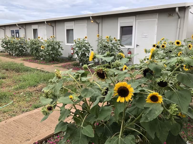 Những luống hoa tươi góp phần làm dịu mát vùng đất khô cằn ở Nam Sudan. Ảnh: Trung tá Bùi Đức Thành Những luống hoa tươi góp phần làm dịu mát vùng đất khô cằn ở Nam Sudan. Ảnh: Trung tá Bùi Đức Thành