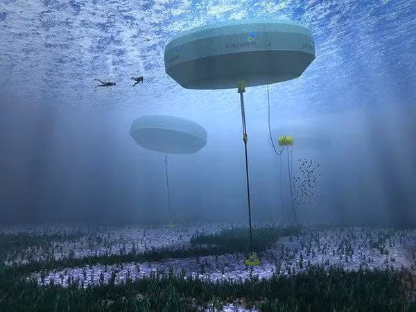 chip nuoc khu muoi trong nuoc bien