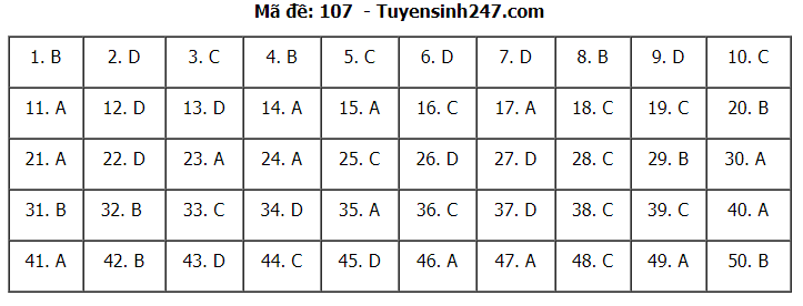 Đáp án tham khảo đề thi tốt nghiệp THPT năm 2020 môn Toán mã đề 107. Nguồn: TTHN