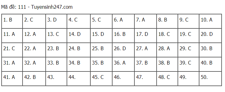 Đáp án tham khảo đề thi tốt nghiệp THPT năm 2020 môn Toán mã đề 111. Nguồn: TTHN