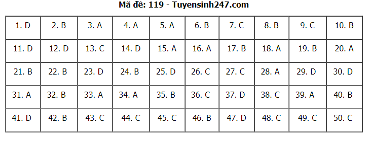Đáp án tham khảo đề thi tốt nghiệp THPT năm 2020 môn Toán mã đề 119. Nguồn: TTHN